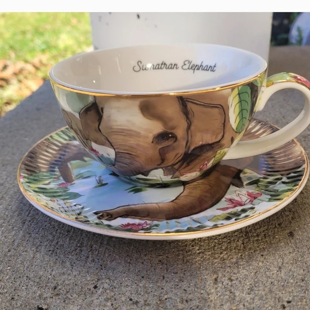 T2 Tea cup and saucer set NWOT